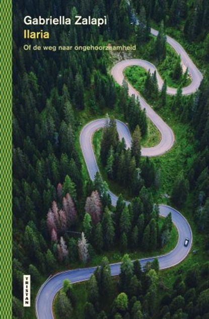 Ilaria, Gabriella Zalapi - Gebonden - 9789022342398