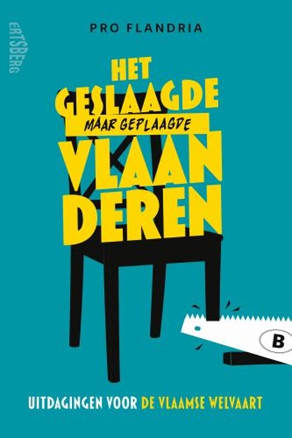 Het geslaagde maar geplaagde Vlaanderen, Pro Flandria - Paperback - 9789022342848