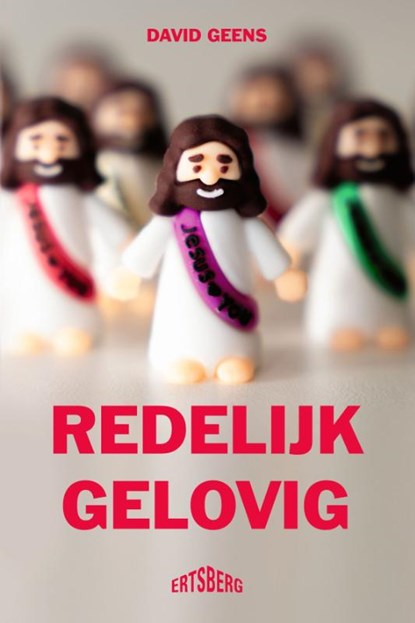 Redelijk gelovig, David Geens - Paperback - 9789022343425