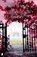 De vergeten brief, MORTON, Kate - Paperback - 9789022557365