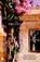 De droomtuin, Rachel Hore ; TOTA - Paperback - 9789022559338