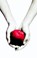 Twilight, Stephenie Meyer - Paperback - 9789022559888