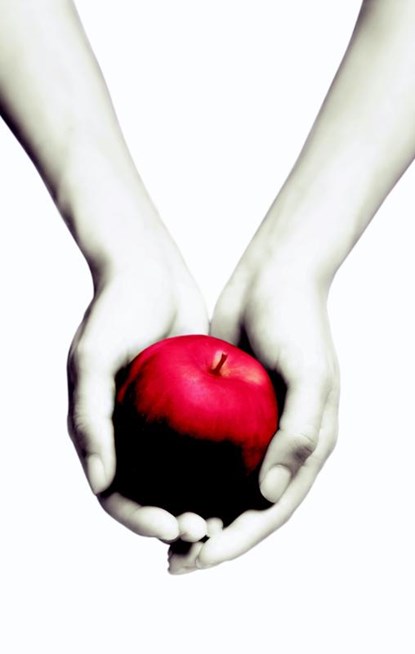 Twilight, Stephenie Meyer - Paperback - 9789022559888