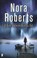 Noorderlicht, Nora Roberts - Paperback - 9789022565650