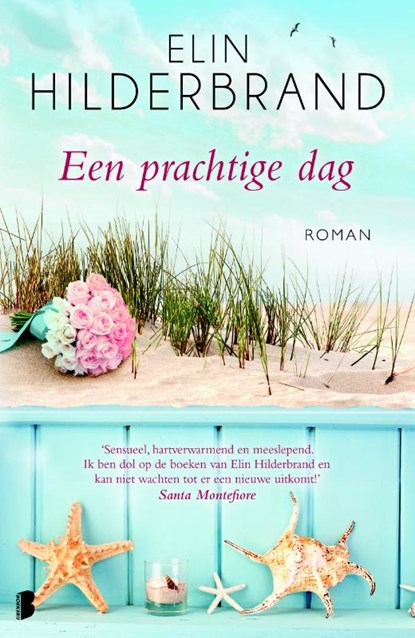 Een prachtige dag, Elin Hilderbrand - Paperback - 9789022570401