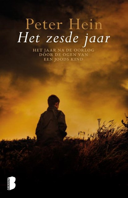 Het zesde jaar, Peter Hein - Paperback - 9789022571644