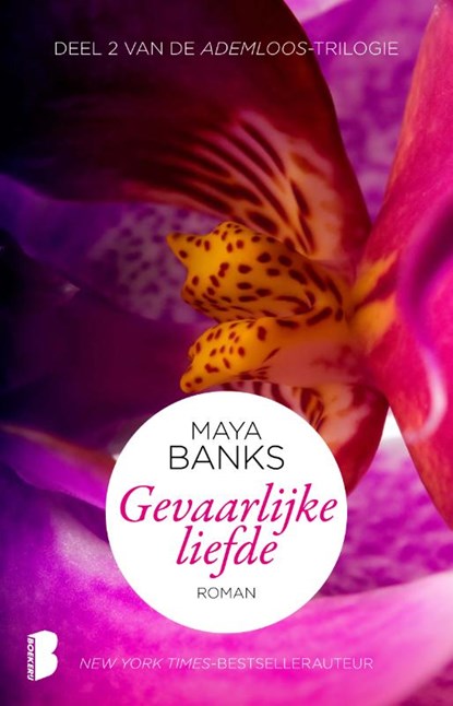 Gevaarlijke liefde, Maya Banks - Paperback - 9789022571781
