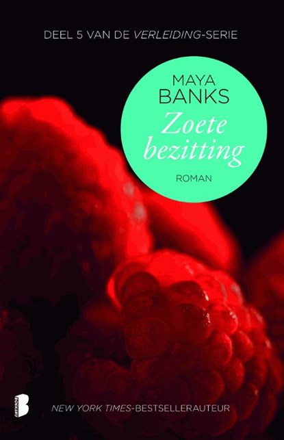 Zoete bezitting, Maya Banks - Paperback - 9789022572337
