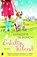 Enkeltje Ierland, Charlotte de Monchy - Paperback - 9789022572504