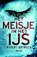 Het meisje in het ijs, Robert Bryndza - Paperback - 9789022582022