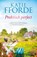 Praktisch perfect, Katie Fforde - Paperback - 9789022589434
