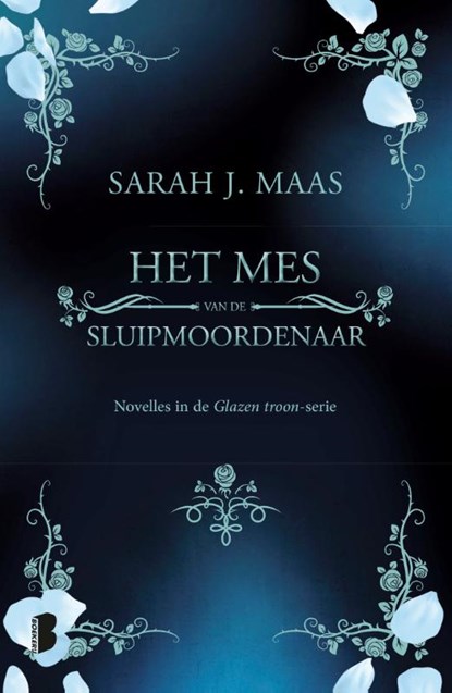 Het mes van de sluipmoordenaar, Sarah J. Maas - Paperback - 9789022590638