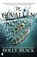 De gevallen koning, Holly Black - Gebonden - 9789022591611