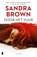 Door het vuur, Sandra Brown - Paperback - 9789022591802