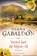 Vertel het de bijen -II, Diana Gabaldon - Paperback - 9789022594551