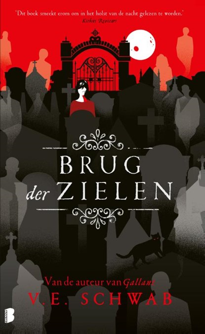 Brug der zielen, V.E. Schwab - Gebonden - 9789022599716