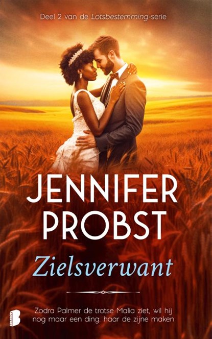 Zielsverwant, Jennifer Probst - Paperback - 9789022599969