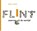 Flint, Egbert A. Meijers - Gebonden - 9789023250197