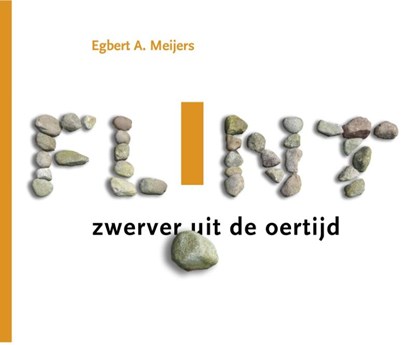 Flint, Egbert A. Meijers - Gebonden - 9789023250197