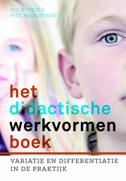 Het didactische werkvormenboek, Piet Hoogeveen ; Jos Winkels - Paperback - 9789023252764