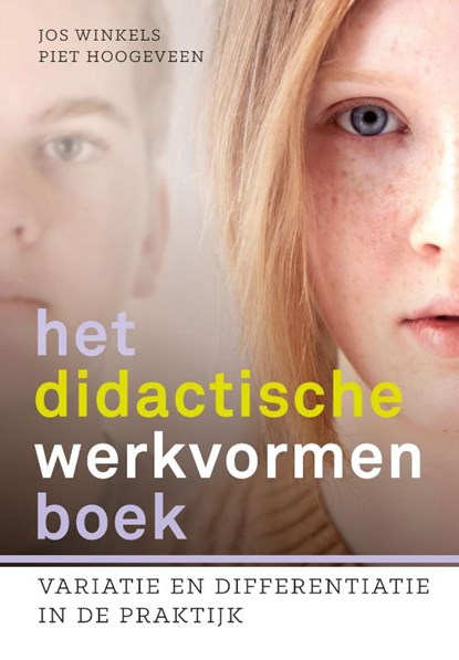 Het didactische werkvormenboek, Piet Hoogeveen ; Jos Winkels - Paperback - 9789023255611