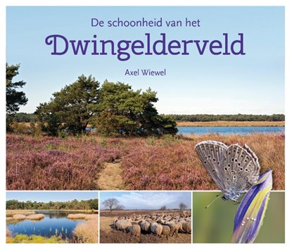De schoonheid van het Dwingelderveld, Axel Wiewel - Paperback - 9789023255703