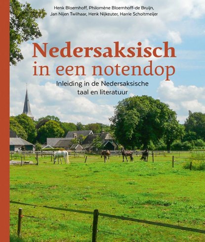 Nedersaksisch in een notendop, Henk Bloemhoff ; Philomène Bloemhoff-de Bruijn ; Jan Nijen Twilhaar ; Henk Nijkeuter ; Harrie Scholtmeijer - Paperback - 9789023256670