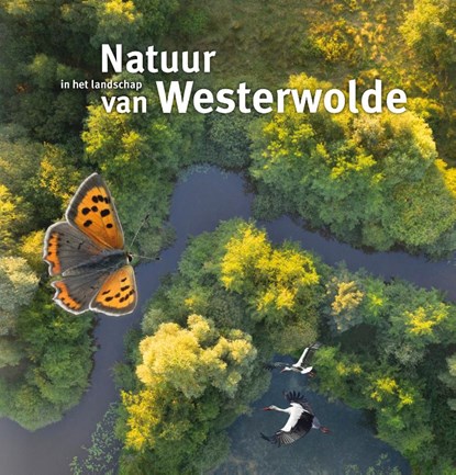 Natuur in het landschap van Westerwolde, Aart Jan Langbroek ; Bauke Roelevink ; Annelies Brekveld ; Saskia Uittien - Gebonden - 9789023257967