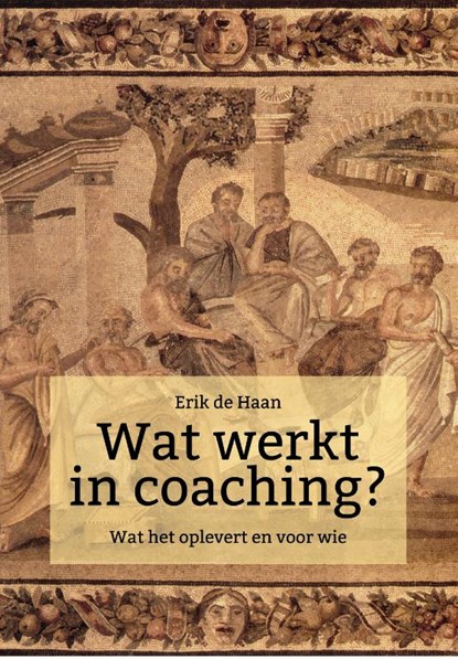 Wat werkt in coaching?, Erik de Haan - Paperback - 9789023258148