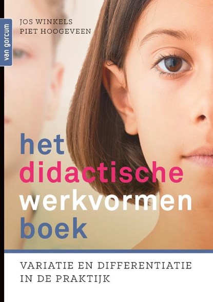 Het didactische werkvormenboek, Piet Hoogeveen ; Jos Winkels - Paperback - 9789023258339