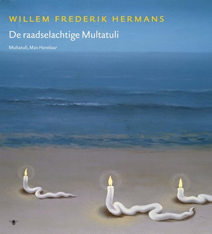 Volledige werken 17, Willem Frederik Hermans - Gebonden - 9789023442547