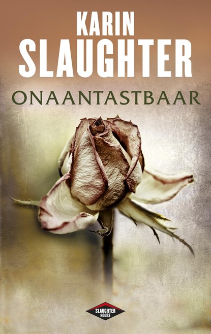 Onaantastbaar, Karin Slaughter - Ebook - 9789023454083