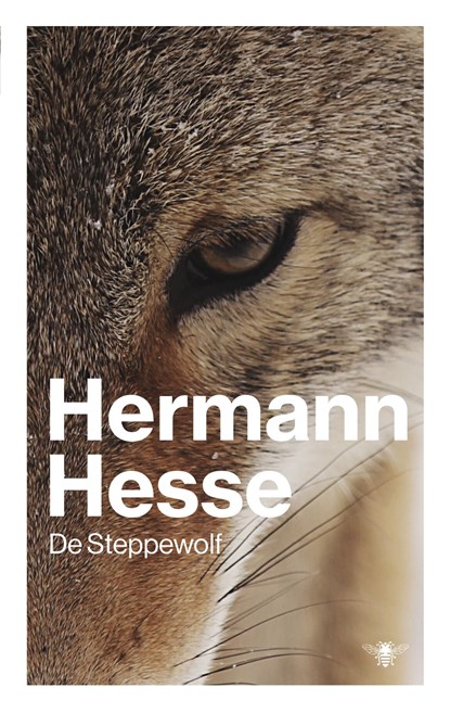 De steppewolf, Hermann Hesse - Ebook - 9789023476641