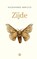 Zijde, Alessandro Baricco - Gebonden - 9789023482246