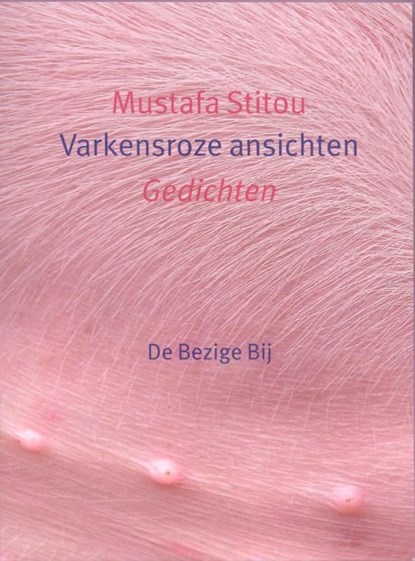 Varkensroze ansichten, Mustafa Stitou - Ebook - 9789023484073