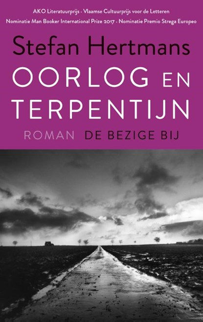 Oorlog en terpentijn, Stefan Hertmans - Paperback - 9789023485469