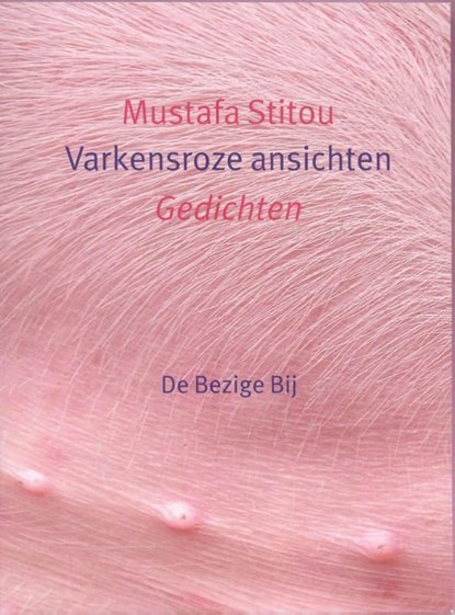 Varkensroze ansichten, Mustafa Stitou - Ebook - 9789023487623