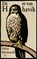 De H is van havik, Helen Macdonald - Paperback - 9789023492412