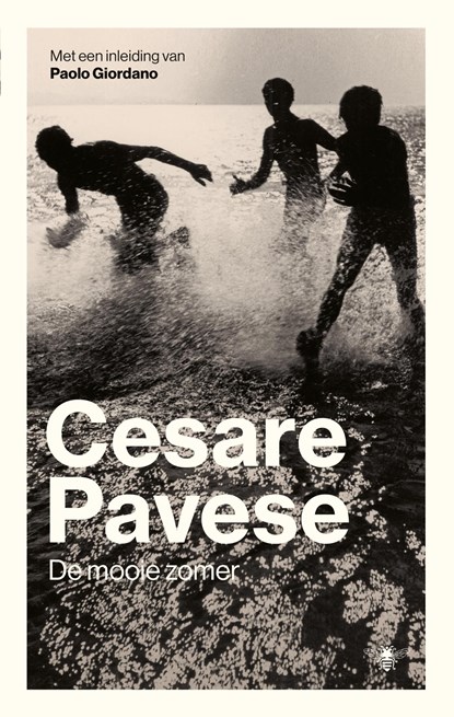 De mooie zomer, Cesare Pavese - Ebook - 9789023493600