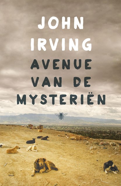Avenue van de mysteriën, John Irving - Ebook - 9789023493976