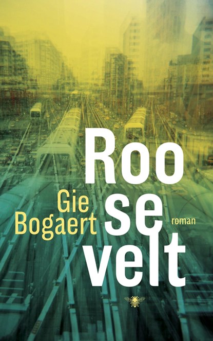 Roosevelt, Gie Bogaert - Ebook - 9789023496885