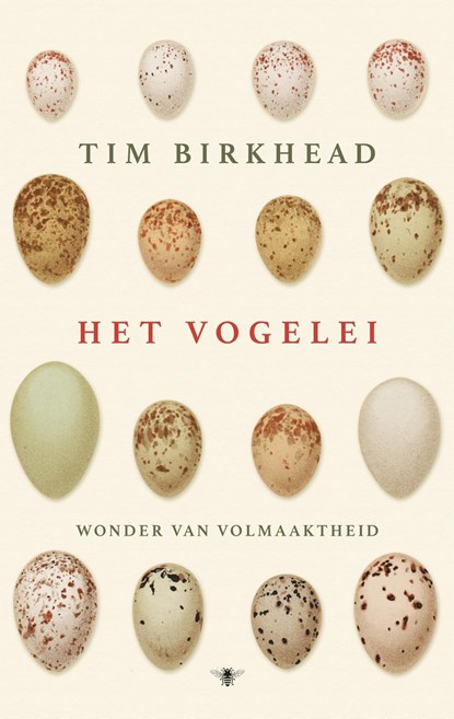 Het vogelei, Tim Birkhead - Ebook - 9789023498155