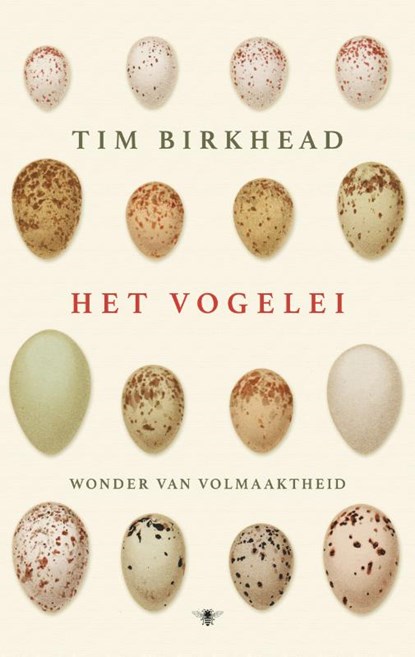Het vogelei, Tim Birkhead - Paperback - 9789023499244