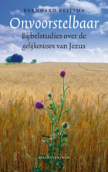Onvoorstelbaar, Bernhard Reitsma - Ebook - 9789023901365