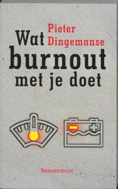 Wat burnout met je doet, P. Dingemanse - Paperback - 9789023913122