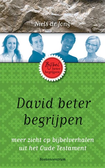 David beter begrijpen, Niels de Jong - Paperback - 9789023926511