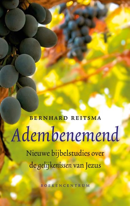 Adembenemend, Bernhard Reitsma - Paperback - 9789023926979