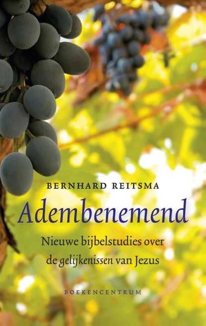 Adembenemend, Bernhard Reitsma - Ebook - 9789023929277