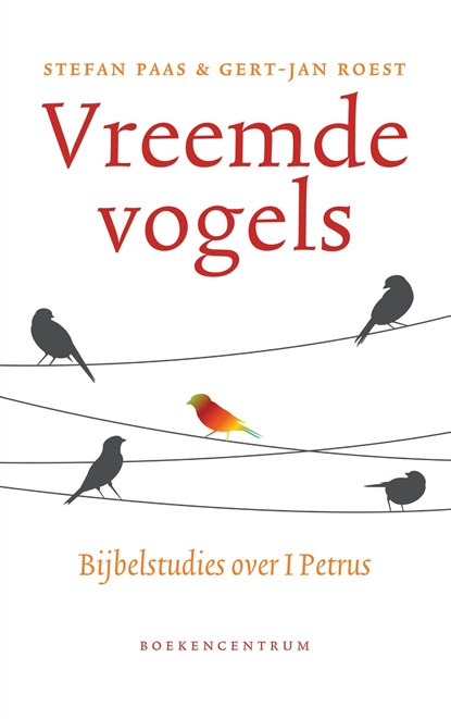 Vreemde vogels, Stefan Paas ; Gert-Jan Roest - Ebook - 9789023950479