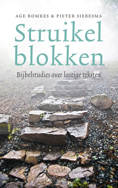 Struikelblokken, Age Romkes ; Pieter Siebesma - Ebook - 9789023953142